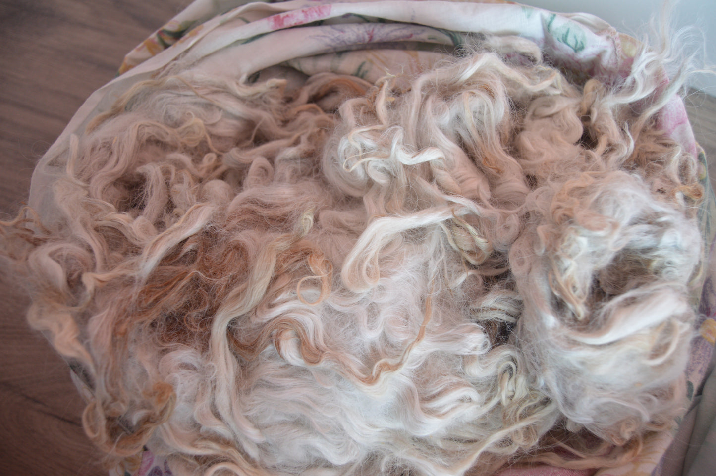 Alpaca fleece from Sugar